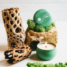 Load image into Gallery viewer, Oak & Amber Mini Tin Candle