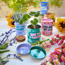 Load image into Gallery viewer, Complimentary Color Grow Kits