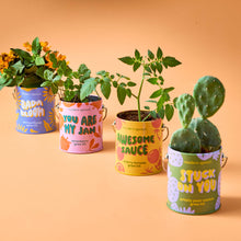 Load image into Gallery viewer, Complimentary Color Grow Kits