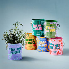 Load image into Gallery viewer, Complimentary Color Grow Kits