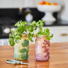 Load image into Gallery viewer, Herb Garden Jar