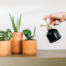 Load image into Gallery viewer, Plant Mister