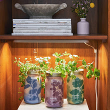 Load image into Gallery viewer, Herb Garden Jar
