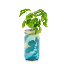 Load image into Gallery viewer, Herb Garden Jar
