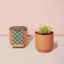 Load image into Gallery viewer, Tiny Terracotta Grow Kits
