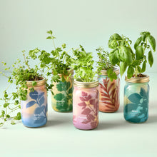 Load image into Gallery viewer, Herb Garden Jar
