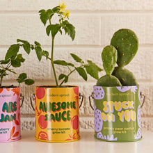 Load image into Gallery viewer, Complimentary Color Grow Kits
