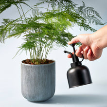 Load image into Gallery viewer, Plant Mister
