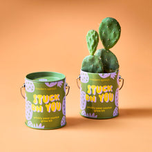 Load image into Gallery viewer, Complimentary Color Grow Kits
