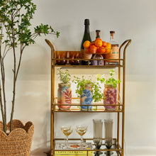 Load image into Gallery viewer, Herb Garden Jar
