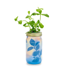 Load image into Gallery viewer, Herb Garden Jar
