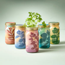 Load image into Gallery viewer, Herb Garden Jar

