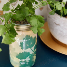Load image into Gallery viewer, Herb Garden Jar
