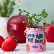 Load image into Gallery viewer, Complimentary Color Grow Kits
